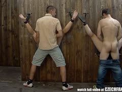 Luder aus der Tschechei am Glory Hole gevögelt